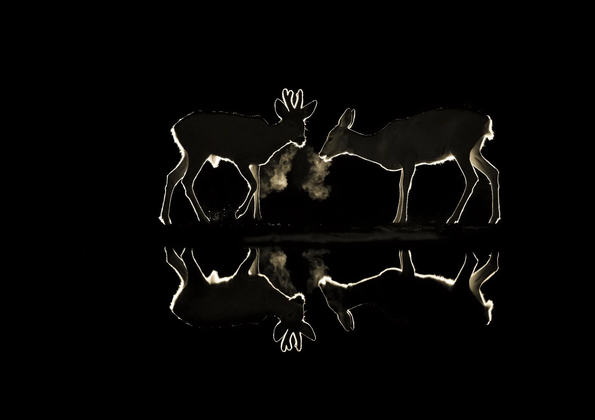 Catherine angyan mg 5930