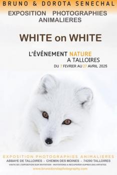 Talloires 07 02 27 04